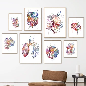 Anatomi Organları Kalp Karaciğer Akciğer Böbrek Beyin Tıp Poster Ve Baskılar duvar sanatı tuval yağlıboya Duvar Resimleri Doktor Odası Dekor