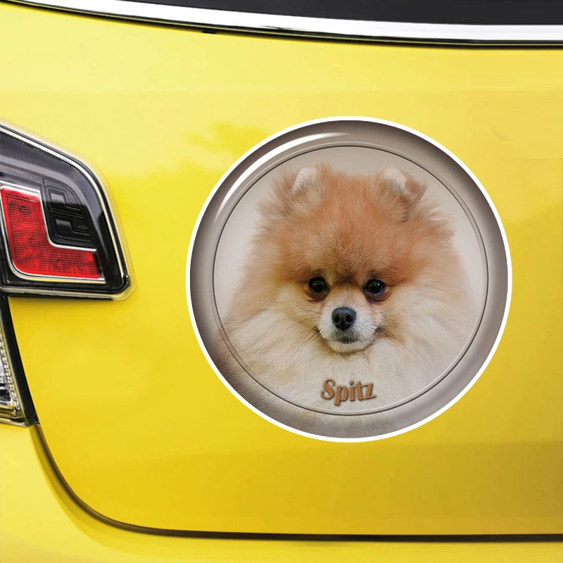 Spitz Köpek Kendinden yapışkanlı Çıkartma Araba Sticker Su Geçirmez Otomatik Dekorları Tampon Arka Cam Dizüstü Bilgisayar #S60962