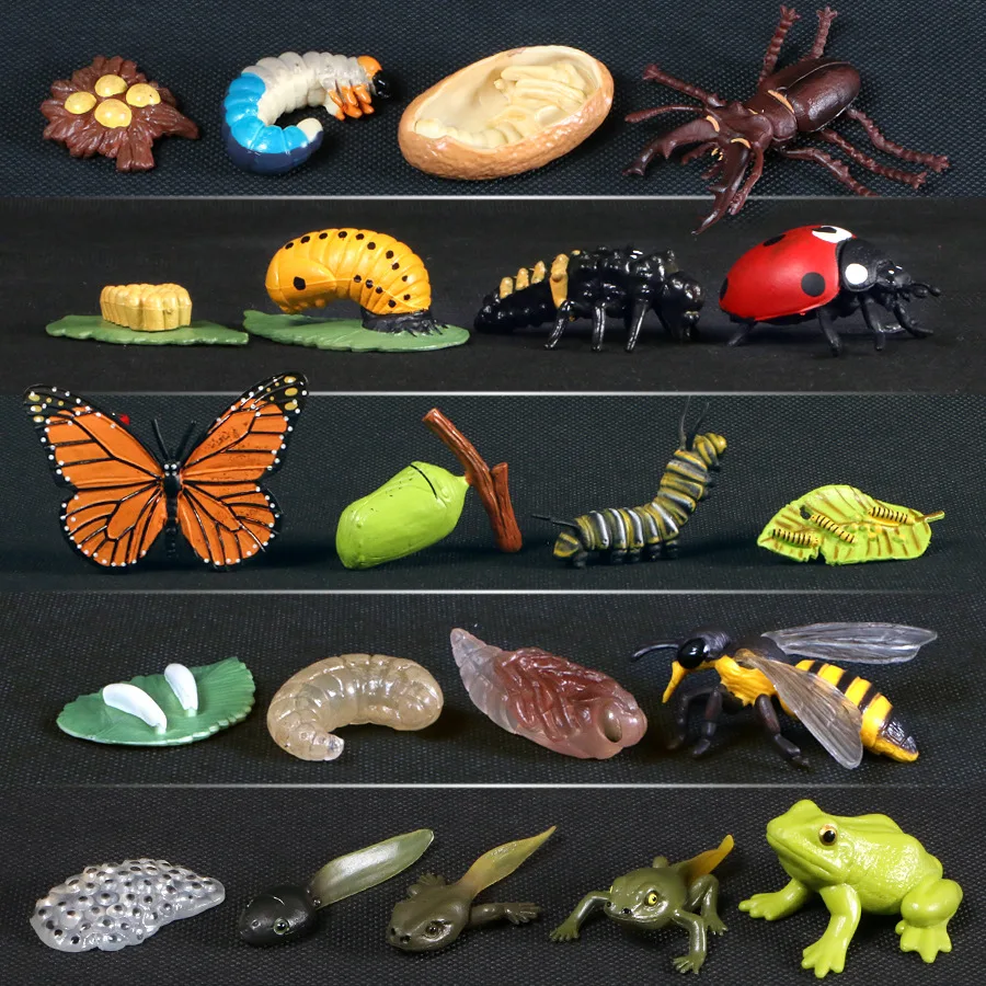 Simülasyon Hayvanlar Büyüme Döngüsü Kelebek, Uğur Böceği, Tavuk Yaşam Döngüsü Heykelcik Plastik Modeller Aksiyon Figürleri Eğitici Çocuk Oyuncak