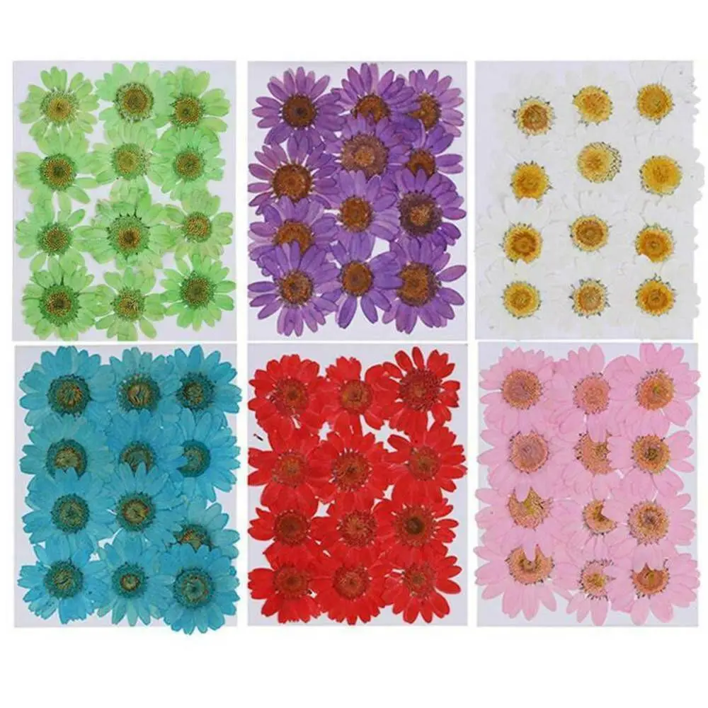 12 Adet/torba Renkli El Sanatları DIY Makyaj Papatya Kurutulmuş Çiçek Takı Yapımı Sanat Preslenmiş